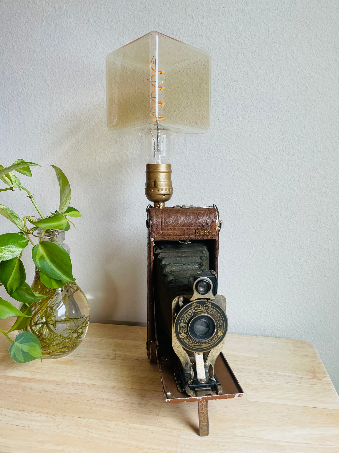 Ready Set Royal Agfa