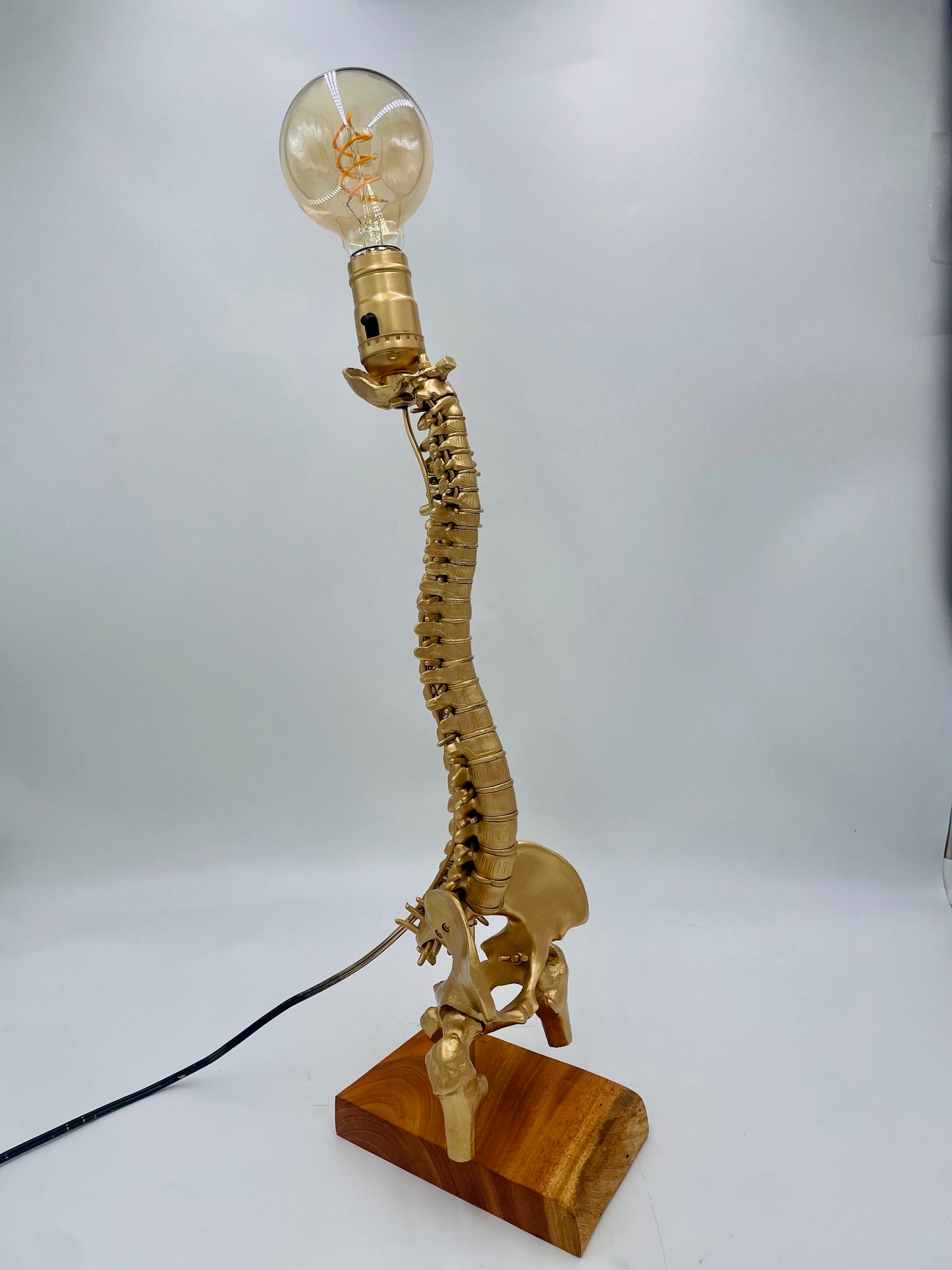 Columna Vertebral