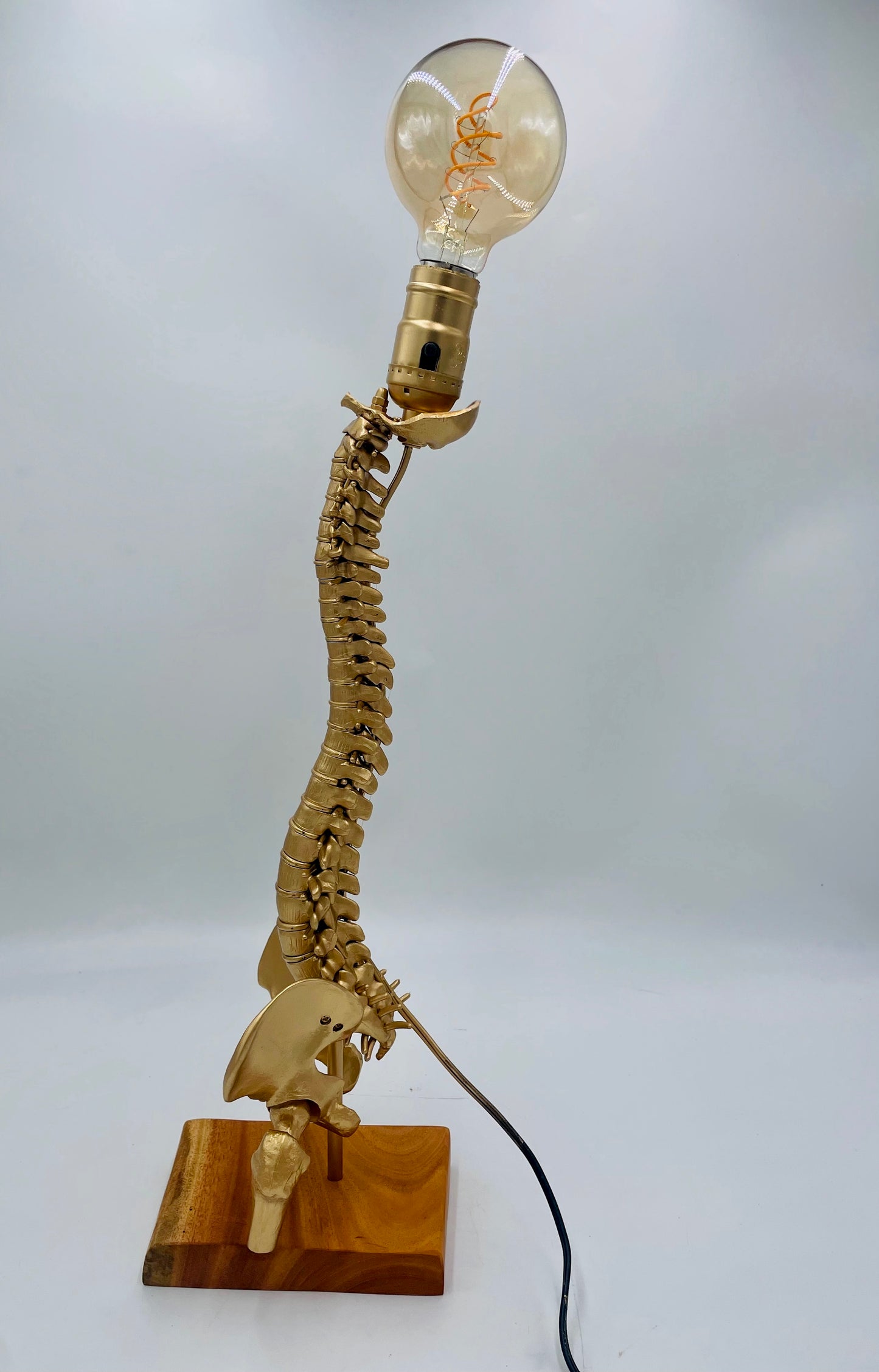 Columna Vertebral