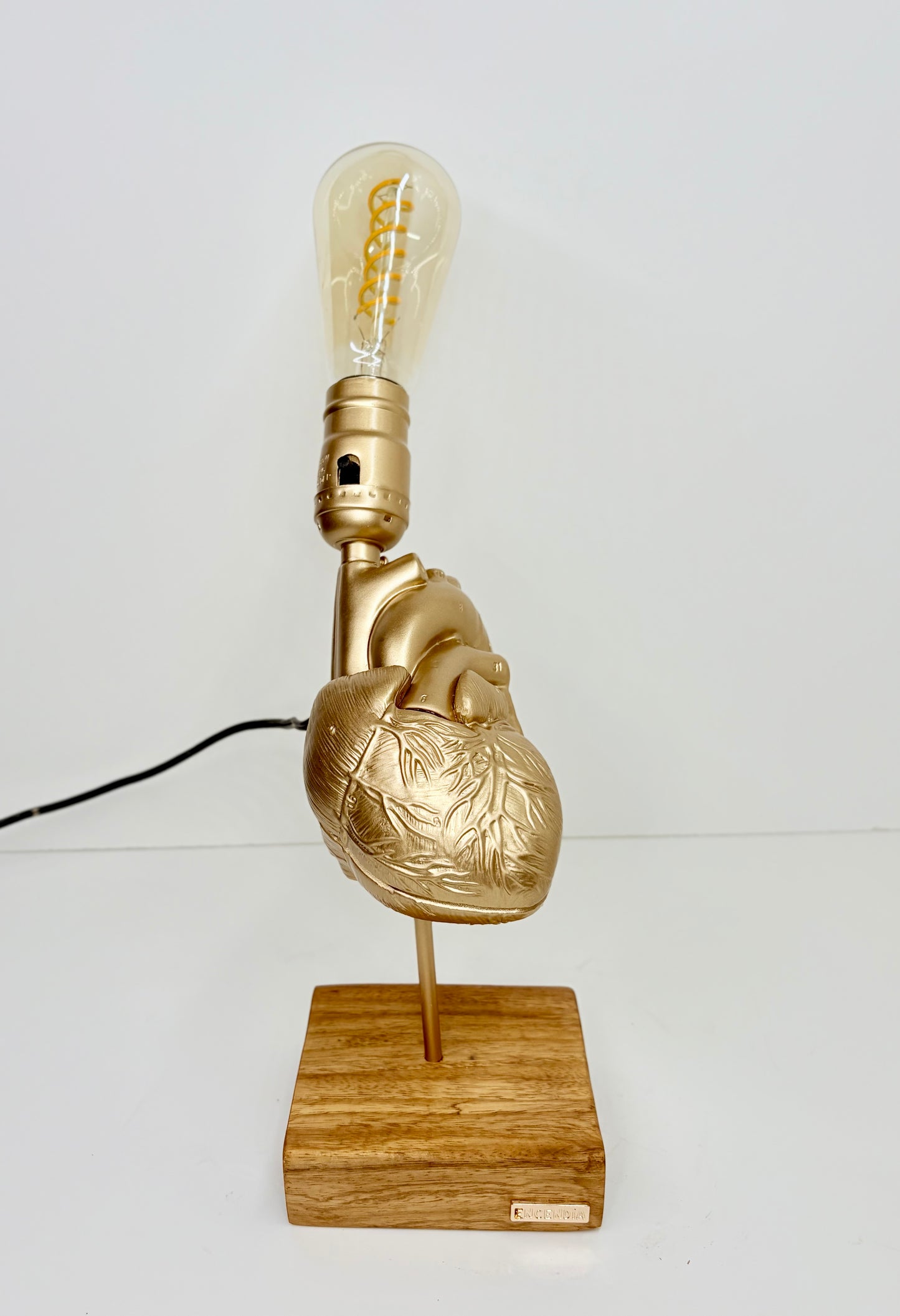 Corazón Anatomico
