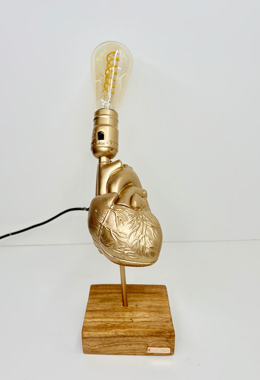 Corazón Anatomico