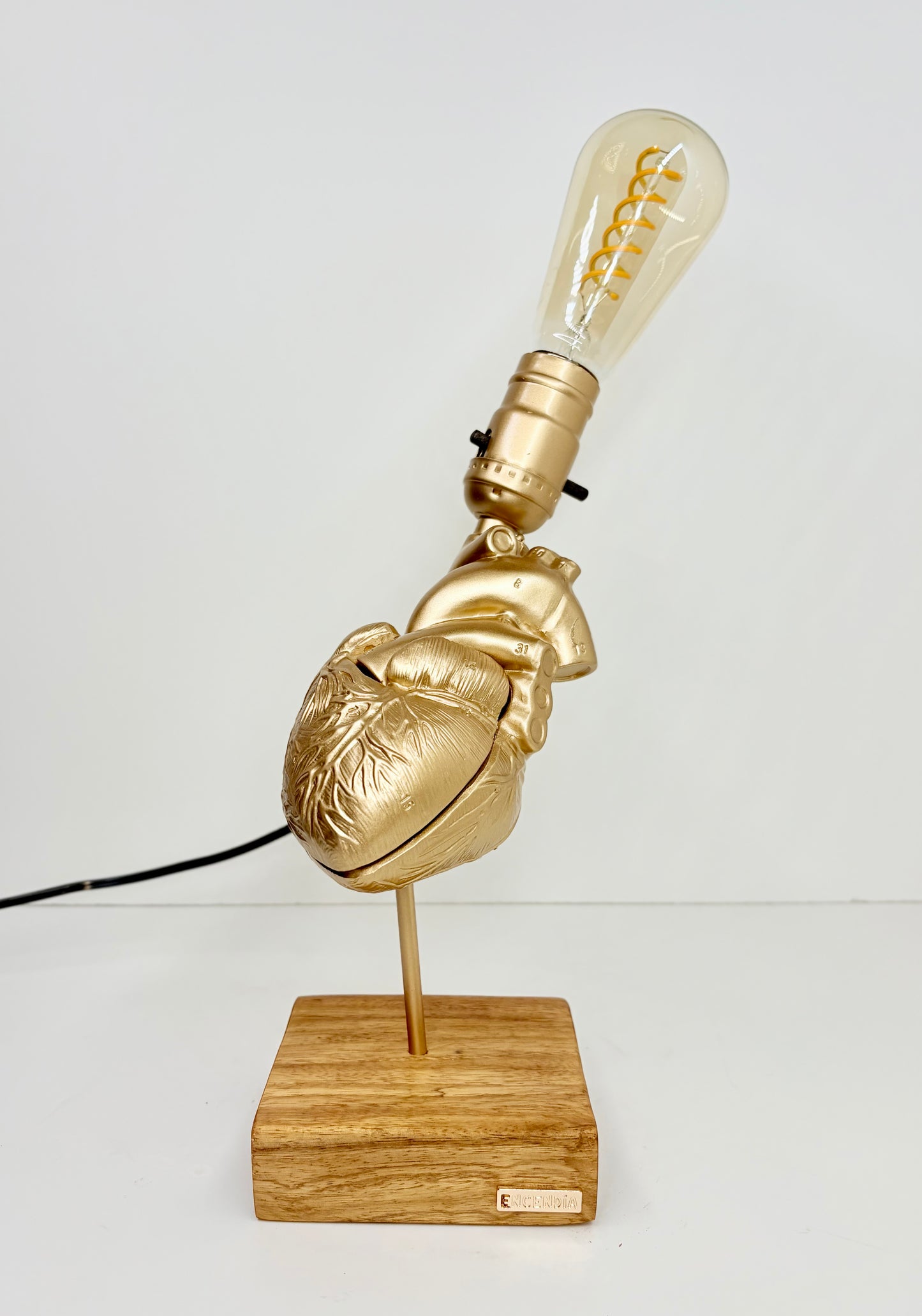 Corazón Anatomico
