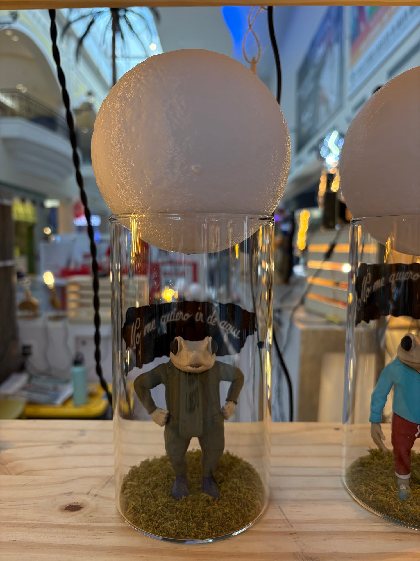 Sapo Concho Pequeño