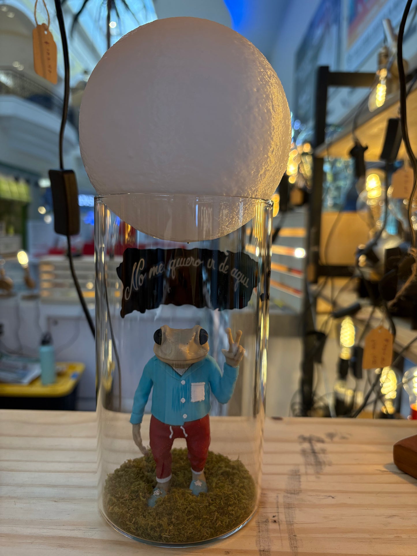 Sapo Concho Pequeño